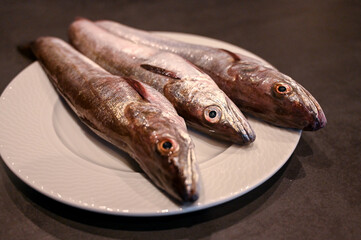 Hake fish on the table. Hake on a plate. Fresh fish.