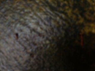 Blur image of Small screw on a mossy floor