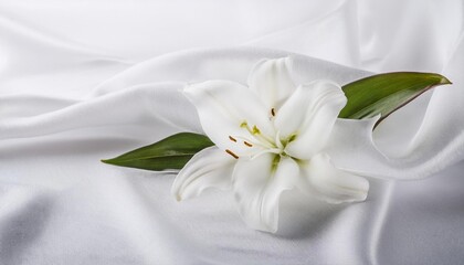 Obraz premium White Lily Flower on a Draped Soft White Silk Fabric