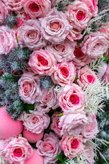 Delicate pink roses and spruce branches. New Year's decoration.