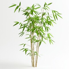 un clipart de plante de bambou porte-bonheur, décoration de prospérité, tiges vertes réalistes, isolé sur fond blanc