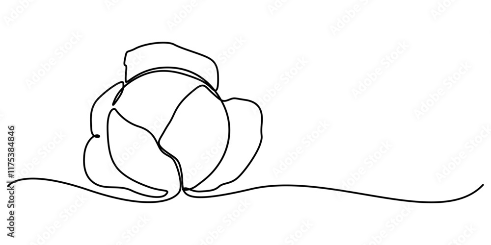 Poster single continuous line drawing whole and cut sliced healthy organic headed cabbage for farm logo ide