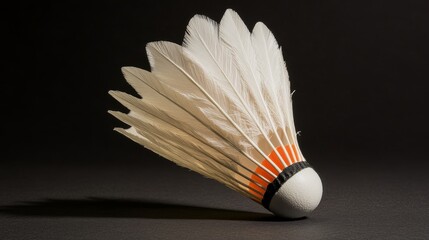 Precision Feather Design Badminton Shuttlecock with Premium Detail and Centered Placement