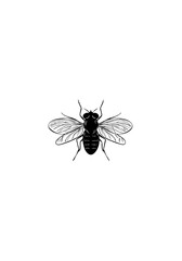 Simplistic Black and White Fly Vector Art