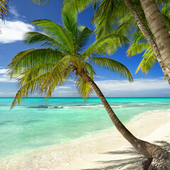 breathtaking beach on a lagoon with turquoise sea, white sand and green palm trees