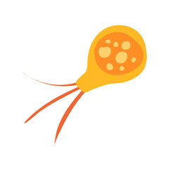 Common bacteria infecting human medical educational