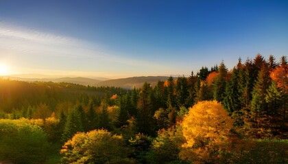 Misty morning in the mountains. Green foliage in the mountains in the morning sun.