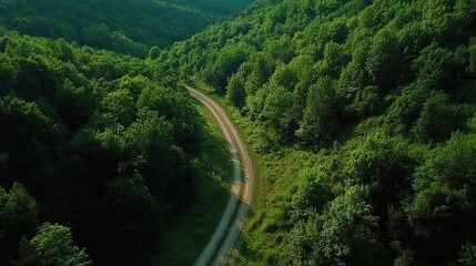 Fototapeta premium Aerial view of forest path winding through green woods.
