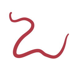 Parasiting worm vector