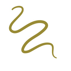 Obraz premium Parasiting worm vector