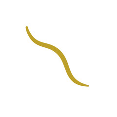 Parasiting worm vector