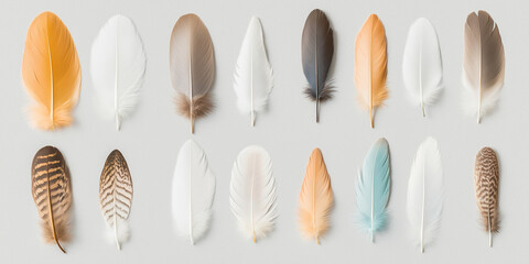 A visually engaging array of colorful feathers in different sizes and patterns displays an intriguing combination of natural beauty and artistic style.