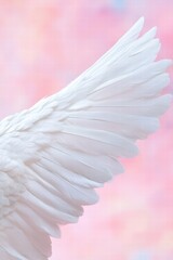 Fototapeta premium Elegant White Bird Wing Against Soft Colorful Background