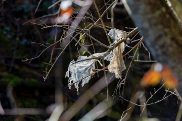 Plastic pollution along a hiking trail. Plastic pollution in a forest in the countryside. Environmental damage caused by human. Plastic waste on a trail.