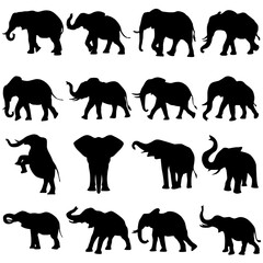 vector silhouette elephant illustration