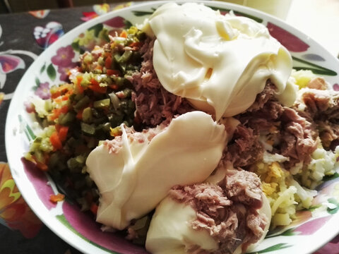 Typical panish food, ensaladilla rusa