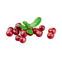 Cranberry Delight: A cluster of vibrant, fresh cranberries with lush green leaves, capturing the essence of autumnal freshness and natural goodness.