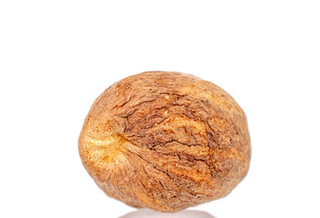 One nutmeg, macro, isolated on white background.