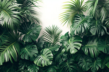 Lush Green Tropical Leaves Against White Background
