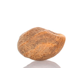 One nutmeg, macro, isolated on white background.