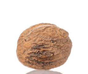 One nutmeg, macro, isolated on white background.