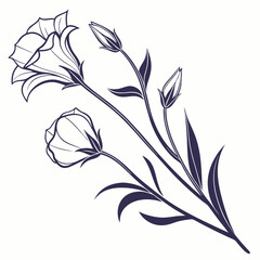 black and white flower