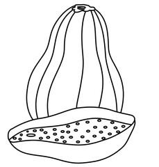 Cute cartoon hand drawn vector papaya coloring page.