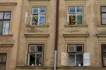 Obraz premium Fragment of the facade of an old house with windows and flowers on the windowsills in Lviv, Ukraine