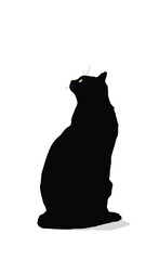 Cat Silhouette with Golden Gaze 2D Vector Illustration