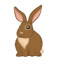 Isolated illustration of cute brown hare rabbit bunny 