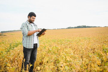 indian farmer at farm field. soybean field