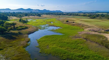 Lush green wetlands, meandering waterway, distant mountains.