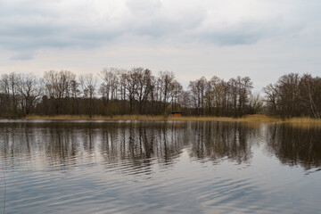 Serene Lake Scene with Bare Trees and Reflective Water in Late Winter