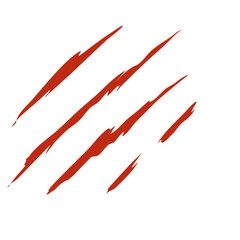 Bloody claw marks vector