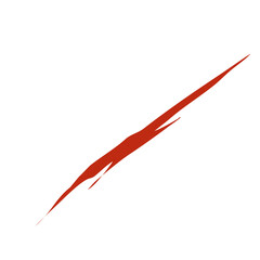 Bloody claw marks vector