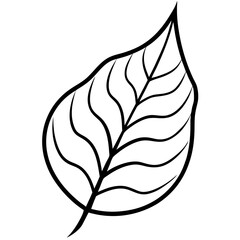 Elegant Leaf Line Design