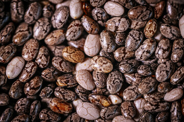 A close-up of chia seeds, showcasing their unique speckled patterns and glossy texture. These tiny seeds are a popular superfood, rich in nutrients and perfect for healthy recipes.