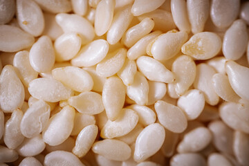 A macro shot of white sesame seeds showcasing their smooth texture and oval shape, commonly used in cooking and baking.