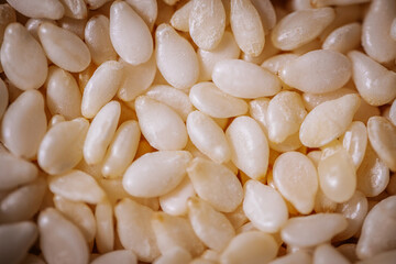 A macro shot of white sesame seeds showcasing their smooth texture and oval shape, commonly used in cooking and baking.
