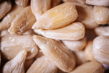 Close-up view of shelled sunflower seeds showcasing their natural beige color and textured surface, perfect for health-focused and nutritional themes.