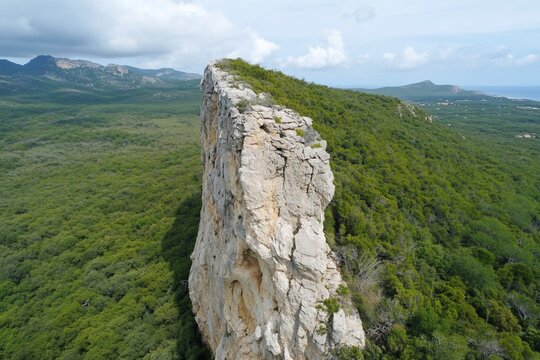 A towering rock formation surrounded by lush greenery and distant hills.