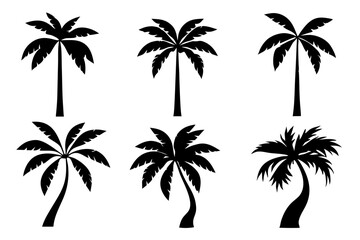 Minimalist Black Palm Tree Designs