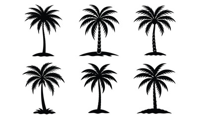 Tropical Palm Tree Silhouette Collection