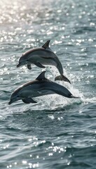 Fototapeta premium Joyful dolphins leaping in synchrony above shimmering sea, capturing vibrant ocean spirit