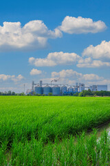 Industrial plants and fields,Industrial plants and green fields,Agricultural industry, modern factory on green area with steel elevator, industrial building and barn under blue sky.