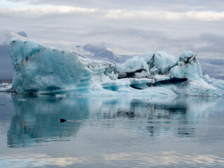 Icebergs and seal in Jokulsarlon lagoon water in iceland near the diamond beach at sunrise