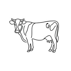  Cow continuous line art flat vector illustration.