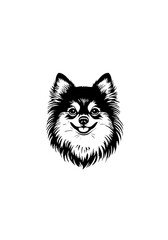 Fototapeta premium Cheerful Pomeranian Dog Line Art with Smiling Expression and Fluffy Fur in Black and White Minimalist Style