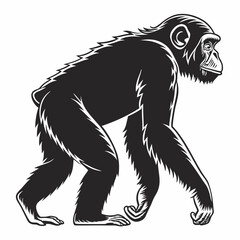 Chimpanzee vector silhouette black design white background