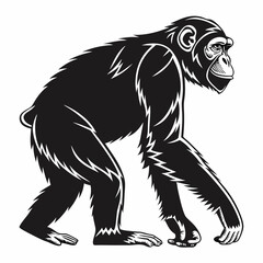 Chimpanzee vector silhouette black design white background